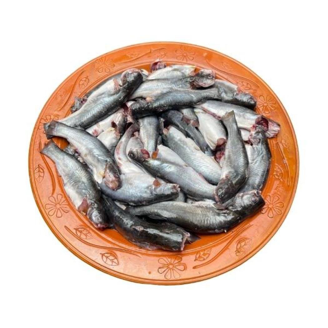 সাতক্ষীরার টেংরা